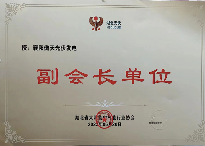 祝賀！傲天新能源被授予副會長單位